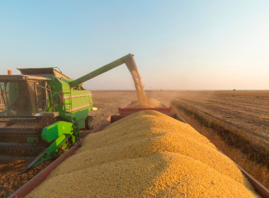 Do distribuidor ao campo: o elo essencial que conecta o agro brasileiro