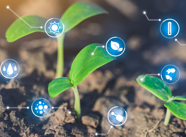 O papel dos bioinsumos na agricultura moderna: tendência ou necessidade?