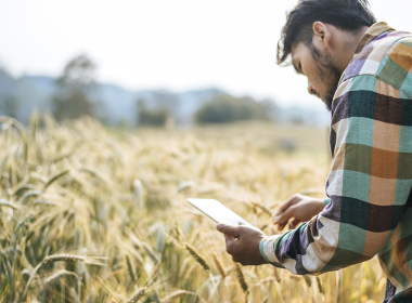 O papel do consultor técnico na rentabilidade da lavoura