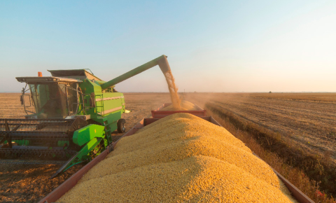 Do distribuidor ao campo: o elo essencial que conecta o agro brasileiro