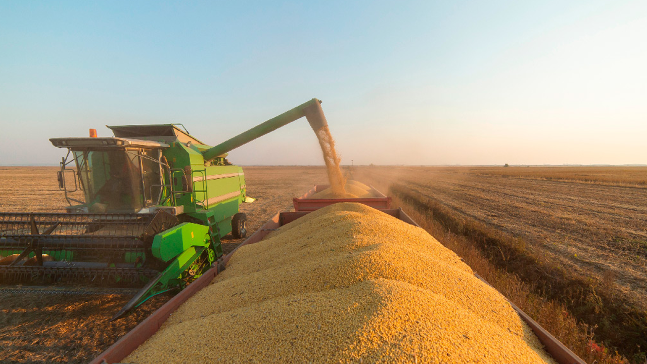 Do distribuidor ao campo: o elo essencial que conecta o agro brasileiro