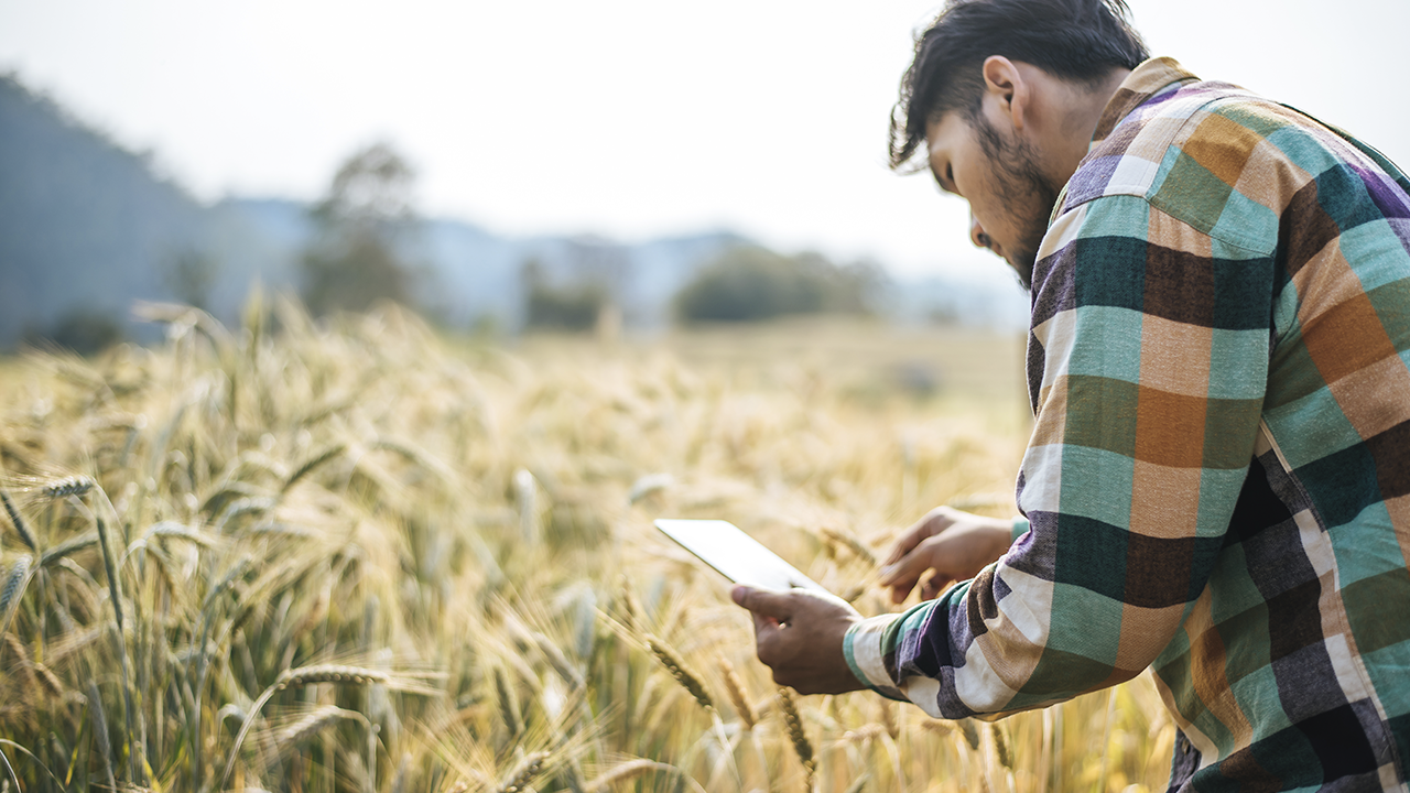 O papel do consultor técnico na rentabilidade da lavoura